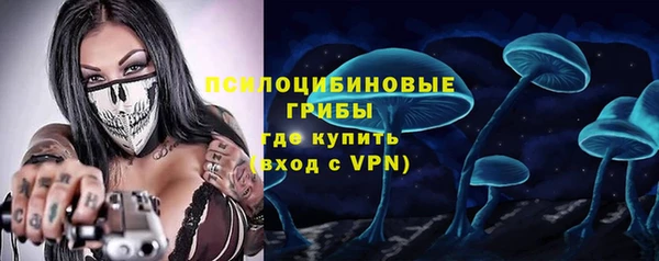 шишки Володарск