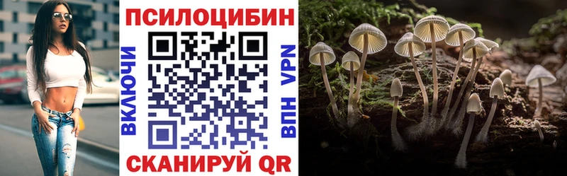 наркошоп Калтан Галлюциногенные грибы MAGIC MUSHROOMS